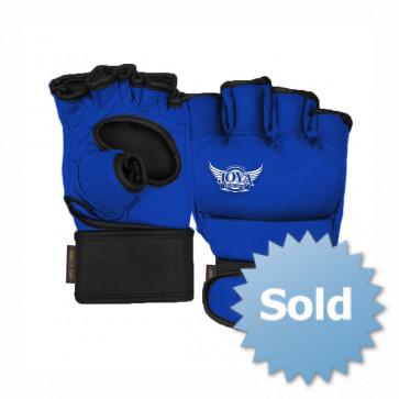Joya V2 MMA Handschoenen - Blauw